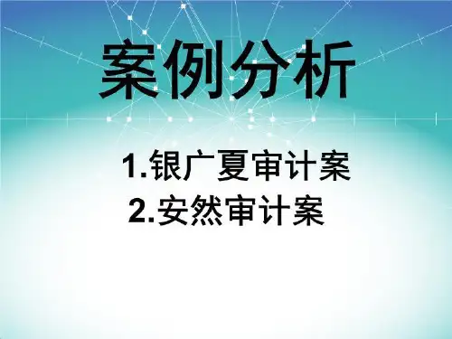 审计案例分析(1)
