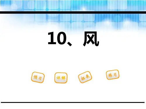 《风》语文教学PPT课件(4篇)