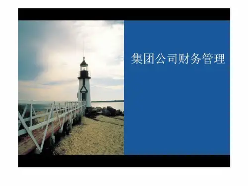 集团公司财务管理.ppt
