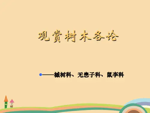 农业类观赏树木各论(槭树科、无患子科、鼠李科)PPT优秀课件