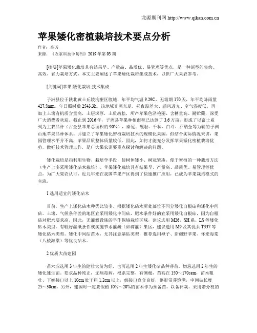 苹果矮化密植栽培技术要点分析