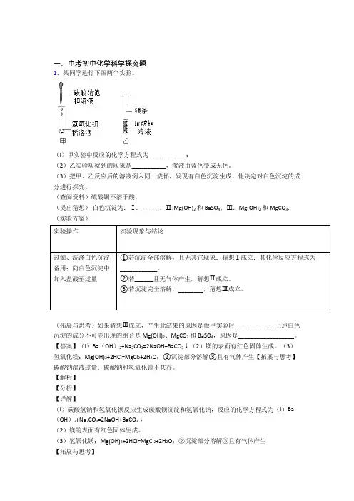 中考化学《探究题的综合》专项训练附答案