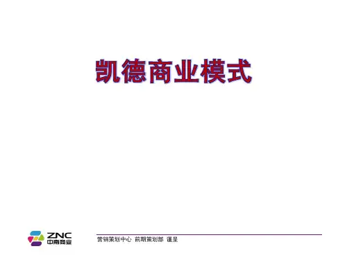 凯德置地研究资料重点
