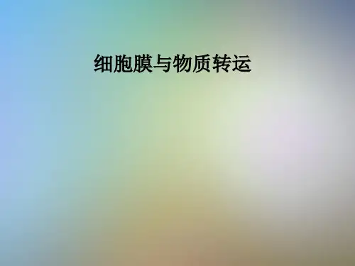 细胞膜与物质转运