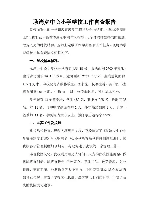 学校工作自查报告