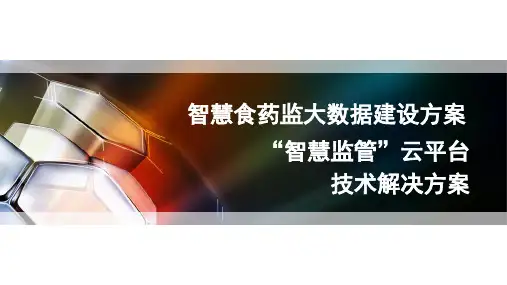 食药监大数据平台建设方案智慧食药监整体建设方案