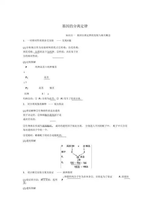 生物必修二基因的分离定律知识点知识总结基础梳理