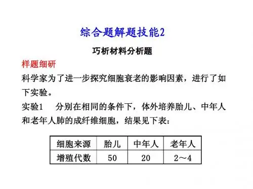 综合题解题技能2