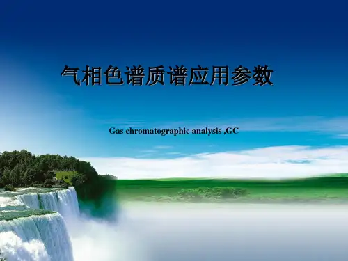 气相质谱应用参数