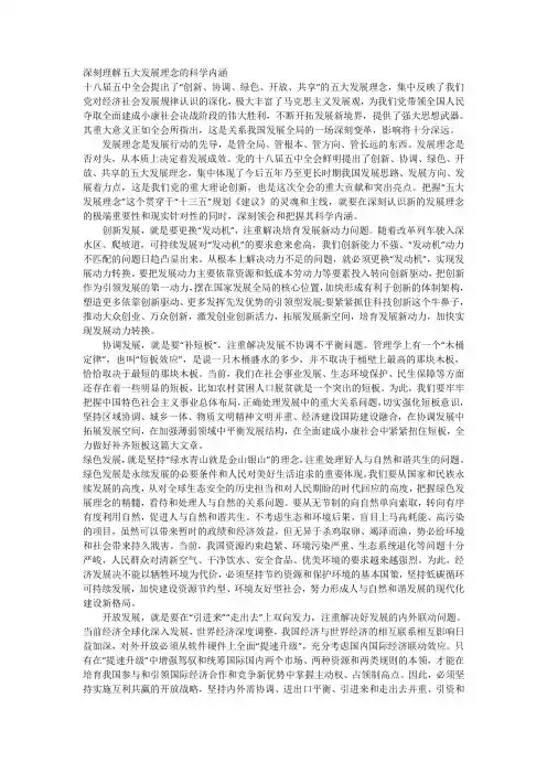 五大理念内涵解读 文档