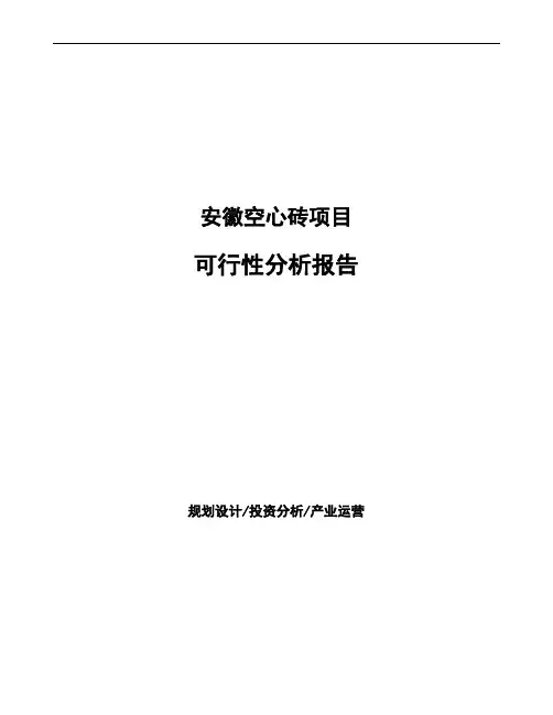 安徽空心砖项目可行性分析报告