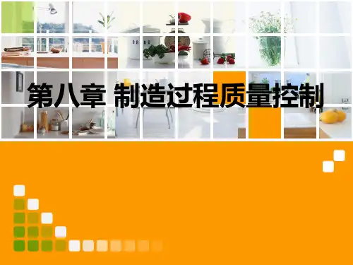 8第八章 制造过程质量控制(新)