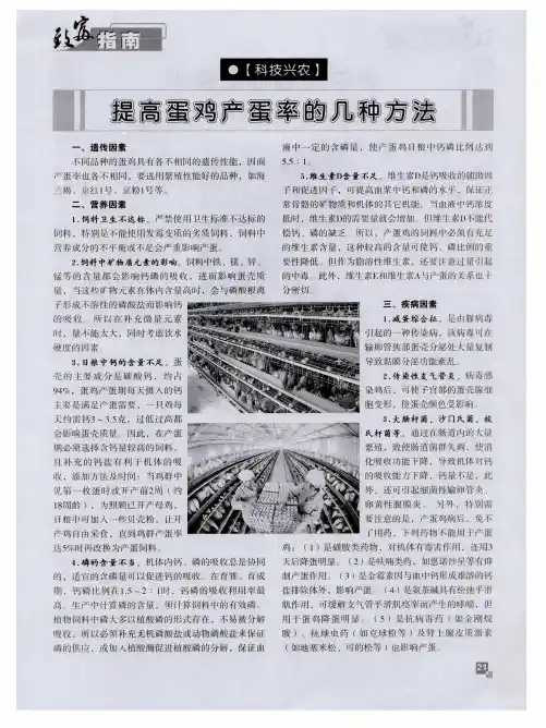 提高蛋鸡产蛋率的几种方法