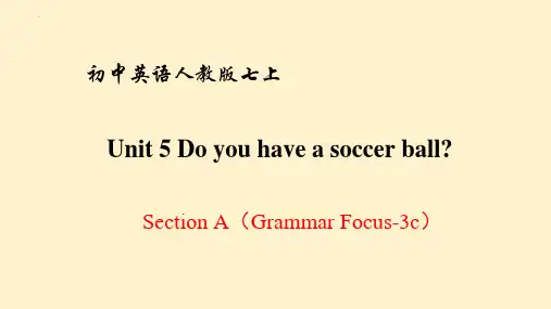 Unit5DoyouhaveasoccerballSectionAGrammarFocus-3c课件