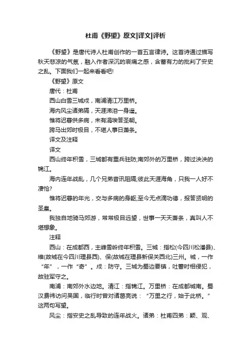 杜甫《野望》原文译文评析