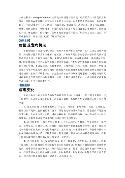 大叶性肺炎 2