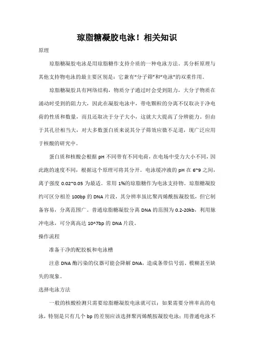 琼脂糖凝胶电泳!相关知识