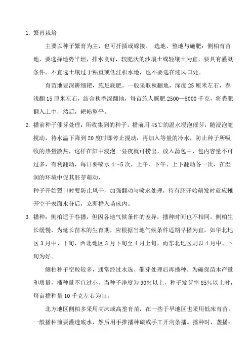 侧柏繁育栽培