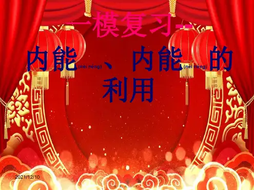 中考物理专题复习 内能 内能的利用课件