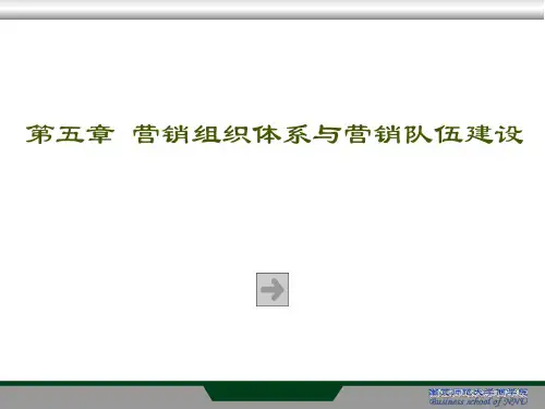 e第五章 营销组织体系与营销队伍建设