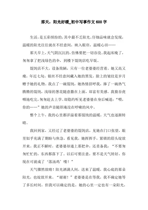 那天,阳光好暖_初中写事作文600字