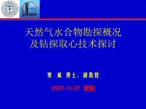 天然气水合物勘探概况77页PPT