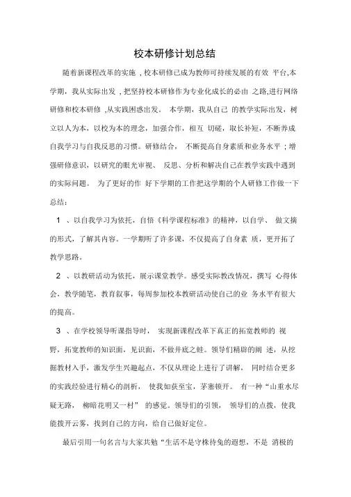 2019年校本研修计划总结
