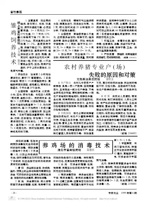 雏鸡饲养技术