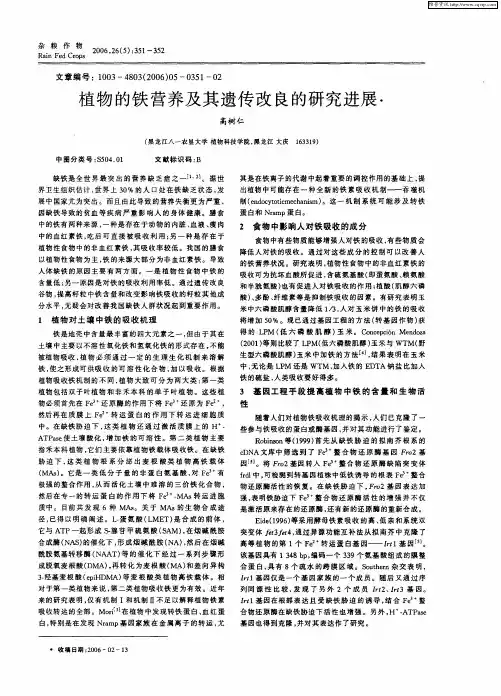植物的铁营养及其遗传改良的研究进展