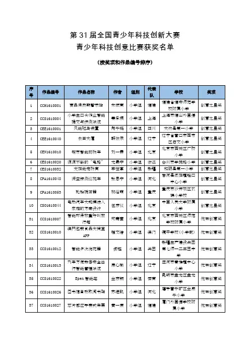 全国青少科技创新大赛科技创意比赛