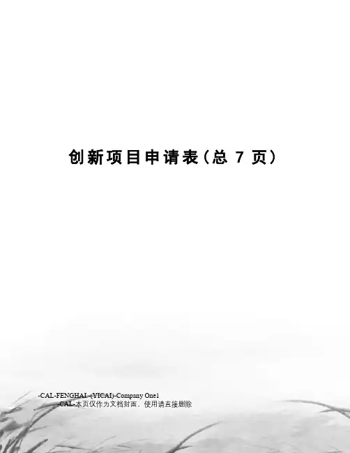 创新项目申请表