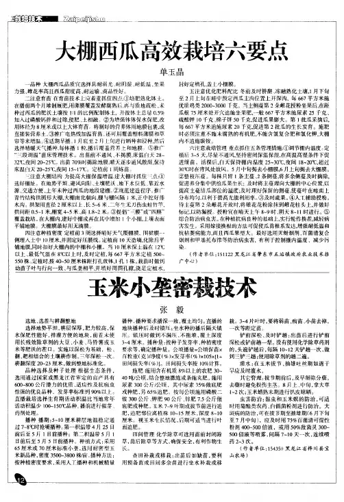 大棚西瓜高效栽培六要点