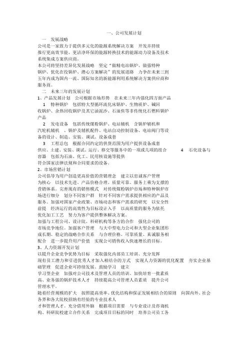 公司发展计划