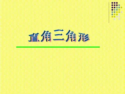 直角三角形性质