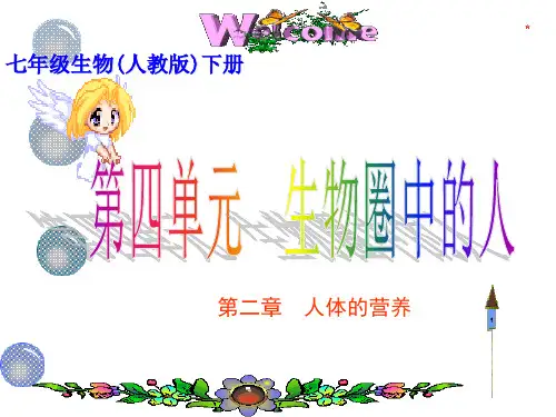 第二章 人体的营养复习课件