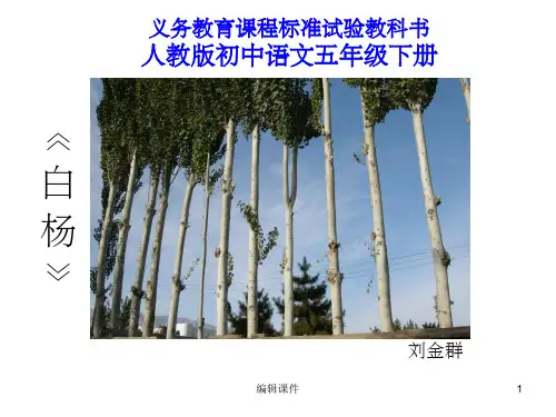 小学语文五年级下册《白杨》(3)