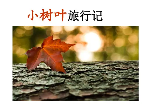 小树叶旅行记教学提纲