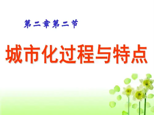 城市化特点