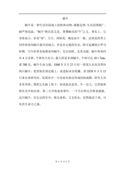部编人教版一年级语文上册 14.小蜗牛--蜗牛