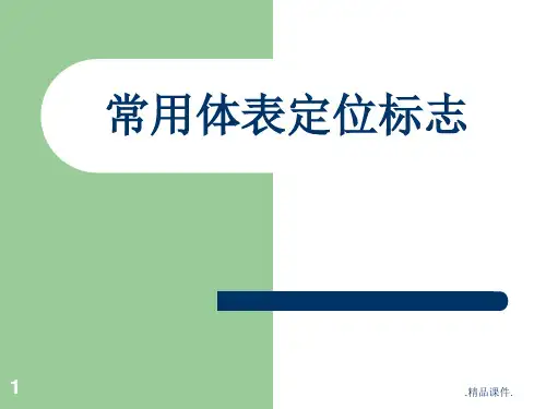 常用体表定位标志精选.ppt