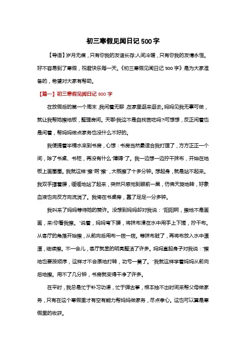 初三寒假见闻日记500字
