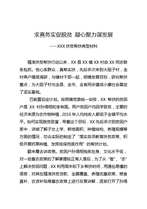 精准扶贫帮扶典型材料