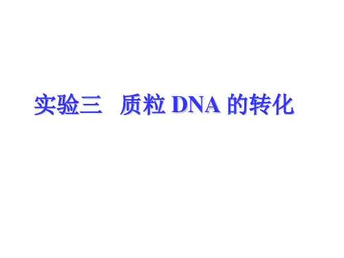 实验三-质粒DNA的转化