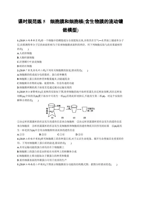生物.新高考总复习课时规范练5 细胞膜和细胞核(含生物膜的流动镶嵌模型)