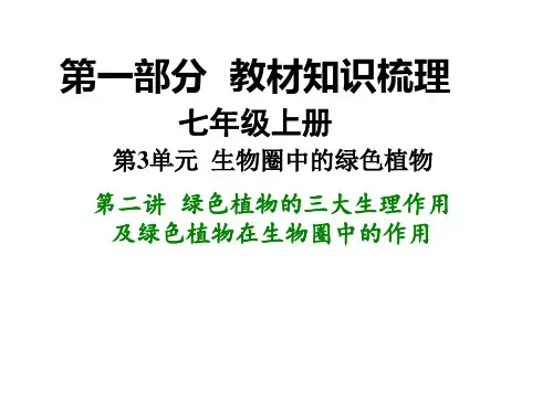 《江苏中考生物复习：绿色植物的三大生理作用及绿色植物在生物圈中的作用》教学课件 苏教版
