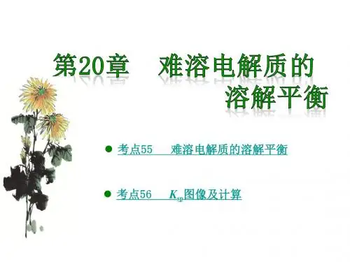 2018版高考化学大一轮复习(应试基础必备 高考考法突破)课件-第20章 难溶电解质的溶解平衡 (共18张PPT)