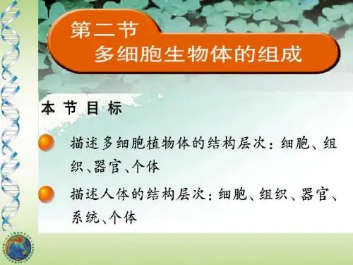 多细胞生物体的组成