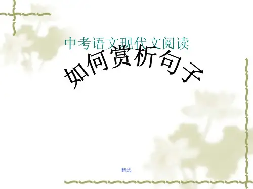 详细版中考句子赏析方法.ppt