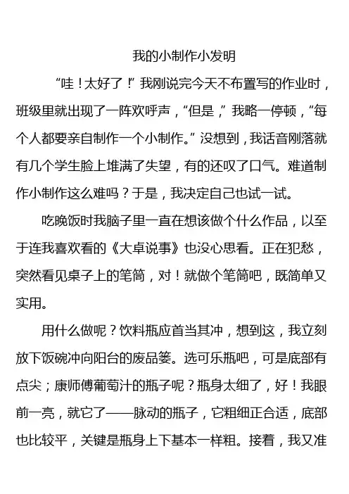 我的小制作小发明