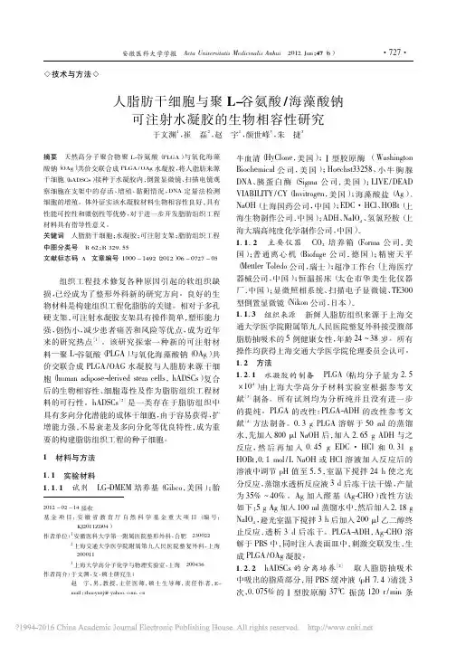 人脂肪干细胞与聚L_谷氨酸_海藻酸钠可注射水凝胶的生物相容性研究